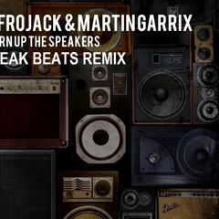 Turn Up The Speaker- Afrojack & Martin Garrix (Mandres Remix)