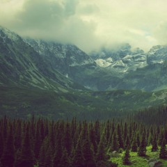 Dj Antione - Ma Chérie (Pollux Remix)