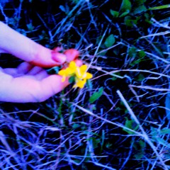 تارا تیبا - شاه من ماه من