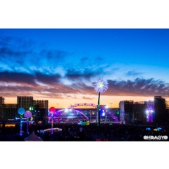EDC Las Vegas 2014 - Day 2 (300 - 415AM)