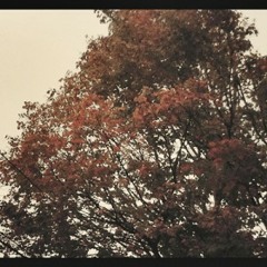 I Can Tell That We Are Gonna Be Friends