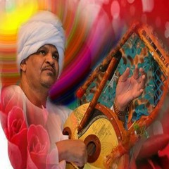 وو ألين أشري. 001.3ga