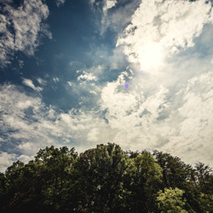 Fallin (Run Cried the Crawling - Shenanigans Mix)