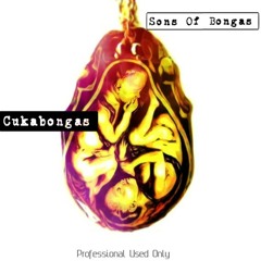 Trip To The Universe