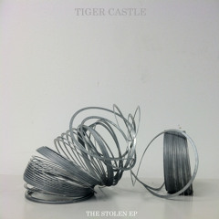 4. Flint (For The Unemployed And Underpaid) [Sufjan Stevens cover]