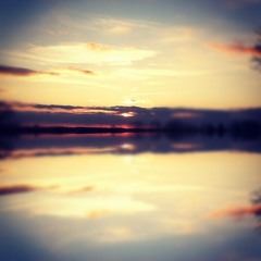 Scone Game (Ft. Ishmael)