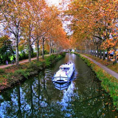 sunny day  |  يوم مشمس على ضفاف النهر