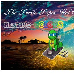 Turtle Tapes Vol 1