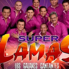Yo Quiero Chupar - Super Lamas (Dj Eddie Extended Feat Edit Dj Snaker Cumbiation)