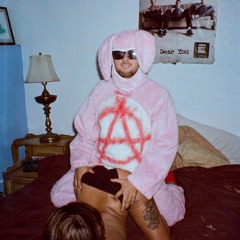 Bunny Suit