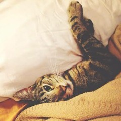 GETTING BACK UNDER THE COVERS PART VI