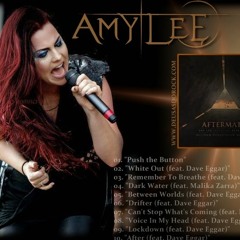 Amy Lee - Aftermath