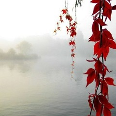 Ты - Христова невеста. Митько Юлия