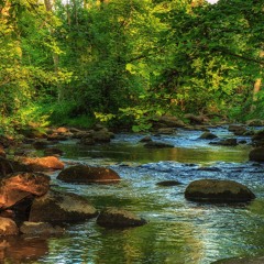 Natural Sounds - Long