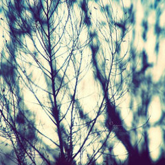 Girls Just Wanna Have Fun (Cyndi Lauper)