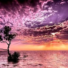 Unknown Project - Alter Nature *Sample*