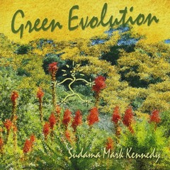 Green Evolution (acoustic version)