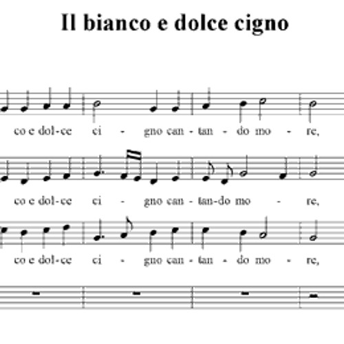 Stream Il Bianco E Dolce Cigno (Jacques Arcadelt) by gitarazak | Listen  online for free on SoundCloud