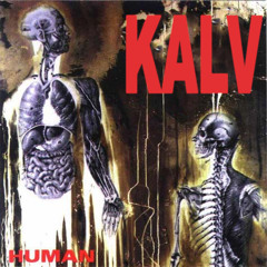 Death - Flattening of Emotions (cover)