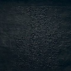 "Eyeless Dark" for bass flute (2012/13)(R. Fabbriciani)