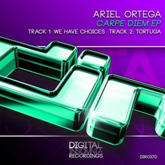 Ariel Ortega - Tortuga (Original Mix)