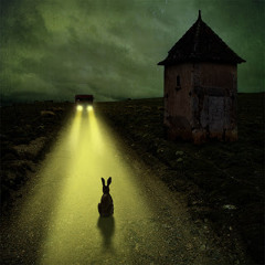 UNKLE : Rabbit In Your Headlights REMIXED by Obscure Celebrities