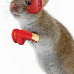 Hup Voor Het Corps - Foetenmusical 2007