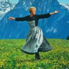 The Sound Of Music (The Hills Are Alive Megamix)
