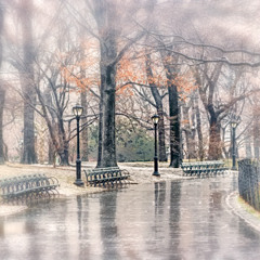 Thursday/ Rain in the Park