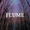 flume-possum-transgressive-records