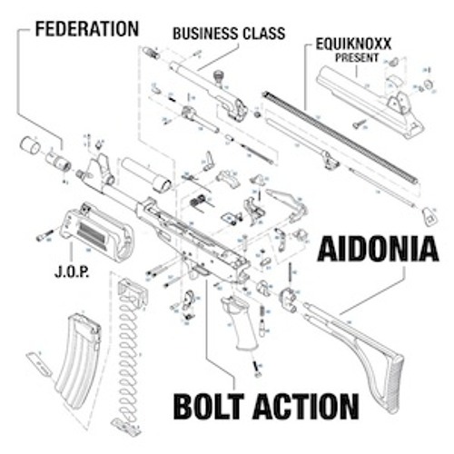 Aidonia - Bolt Action