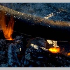FIELDNOTES: I report on the sound-rhythm of Whitebark Pine, burning...