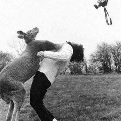 Canguru Zurado - Tá Fácil