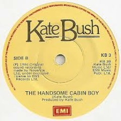 The Handsome Cabin Boy