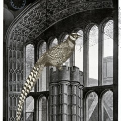 Middlemarch..."Wolf Hall"    Angels