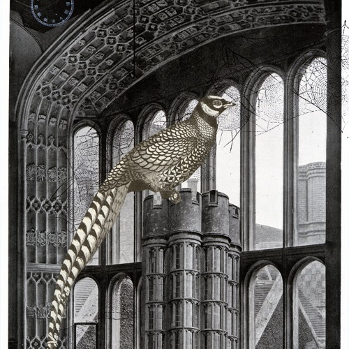 Middlemarch..."Wolf Hall"    Angels
