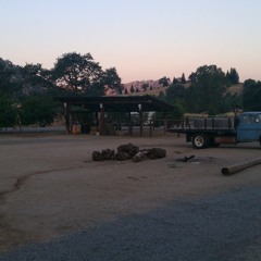 You Can't Keep a Good Dog Down