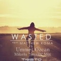 Tiësto Ft. Matthew Koma vs. Ummet Ozcan - Wasted ( Mikelo 'Smash' Mix 2014)