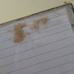 Mung  (From "I Love the Ceiling Fan" - 1991)