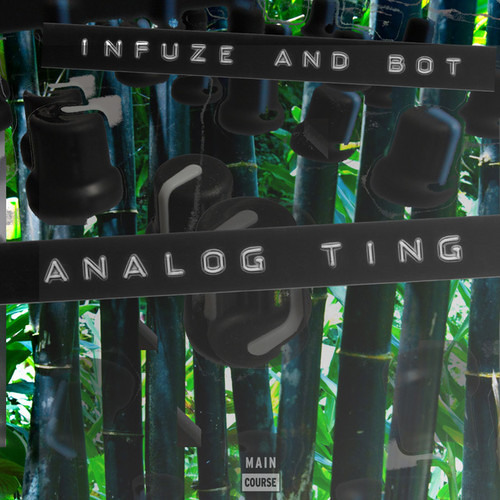 Infuze & Bot - Analog Ting - Main Course