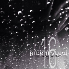 Slim K - N&S 16: Weathering The Storm [Full Mixtape] (2005)