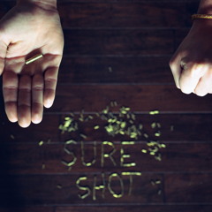 Willhorse - Sure Shot