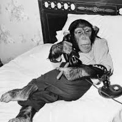 No one quite lke  Harv