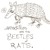 Artwork for Bemused Armadillo - Initial Sketch