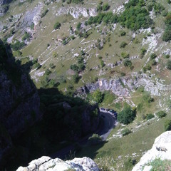 Falling Down