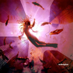 14. RODA Entropico 2002