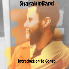 Introduction To Gonzo