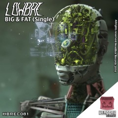 Big & Fat (Original Mix)
