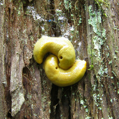 Stuck On You (ft. Shantel Leitner & Young Rich the Scrub)