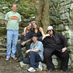 When I Hear That Tone - The Dinah Pehrson Band